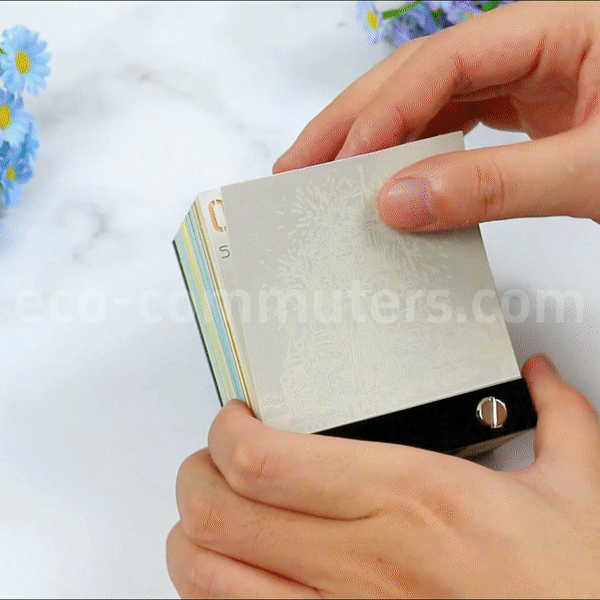 TimePiece® Calendar - D'ney Castle